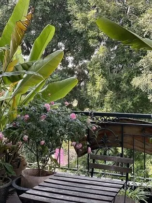 Rustic House Homestay - Dış Mekanlar