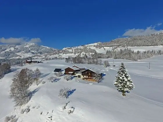 Rustic Mansion in Mittersill near Kirchberg Ski Area - Dış Mekan
