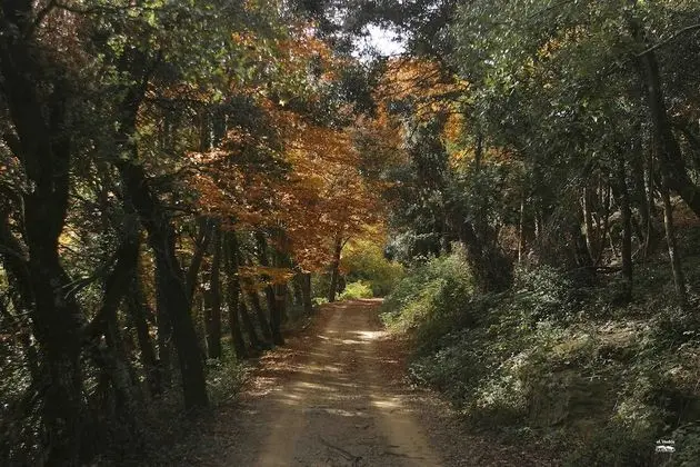 Rusticae El Ventós - Dış Mekan
