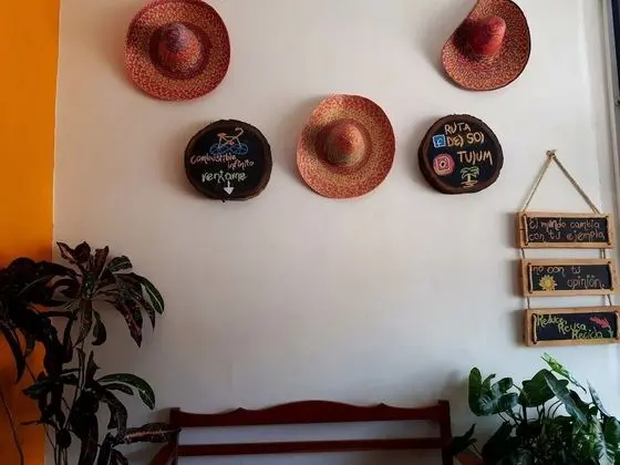 Ruta del Sol - İç Mekan