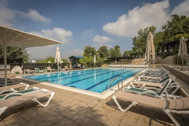 Ruth Zefat By Dan Hotels - Havuz