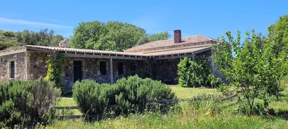Rüya Bozcaada