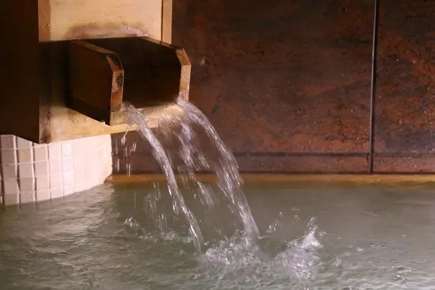 Ryokan Kamogawa Asakusa - Havuz