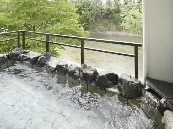 Ryokan Tairyukaku Iwate Yumoto Onsen - Spa