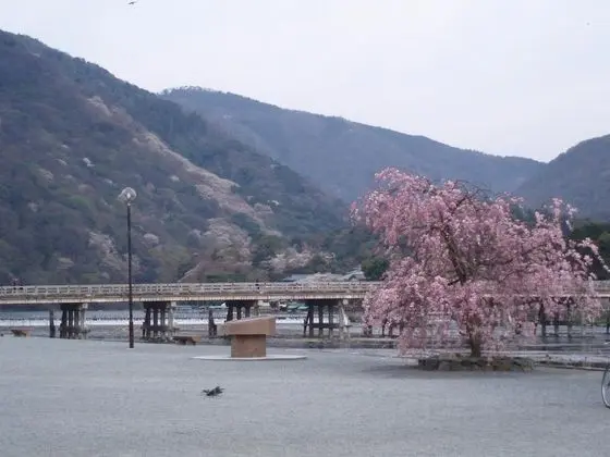 Ryotei Rangetsu - Dış Mekan