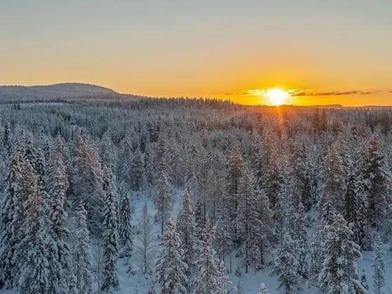 Villa Rytilampi b Kuusamo - Oda