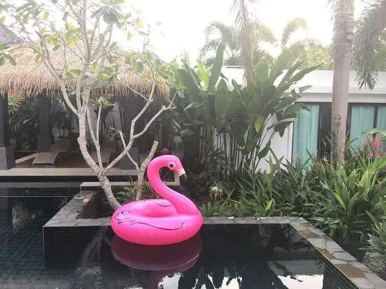 Villas Aelita Pool Villa Resort - Havuz