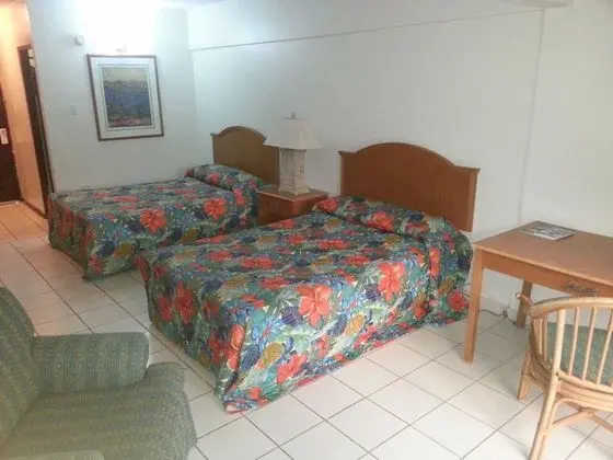 Villas de Costa Dorada Isabela - Oda