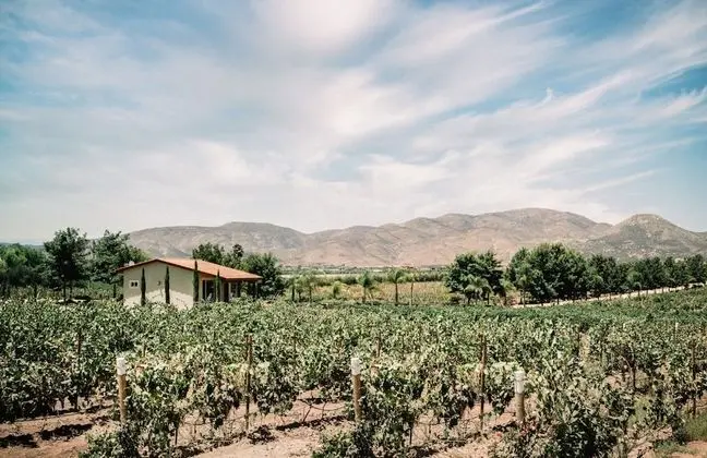 Villas en Los Retoños - Dış Mekan