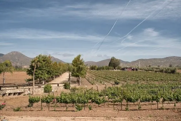 Villas en Los Retoños - Oda Manzaraları