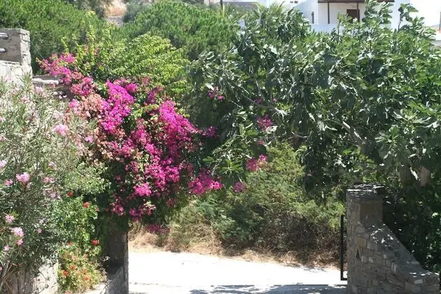 Villas Georgy - Dış Mekan