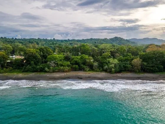 Villas Mapache del Caribe - Plaj
