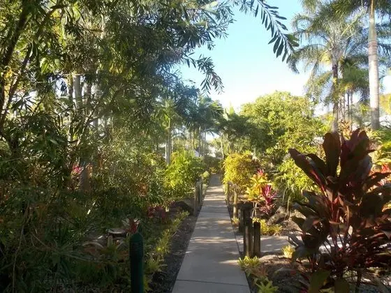The Villas Palm Cove - Dış Mekan