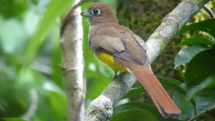 Villas Rio Mar Resort