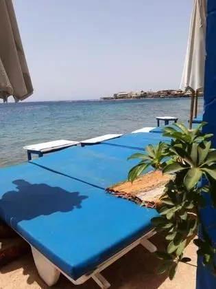 Sababa hotel Dahab - Havuz