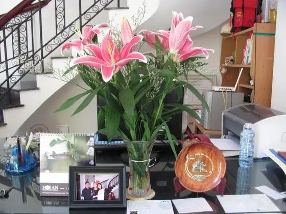 Sac Xanh Homestay - Lobi