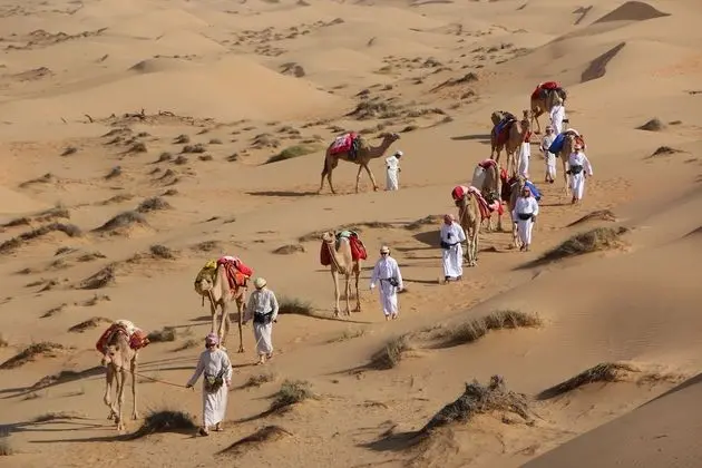 Safari Dunes Camp - 1