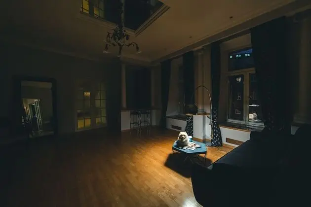 Safe Haven Apartment - Oda Düzeni