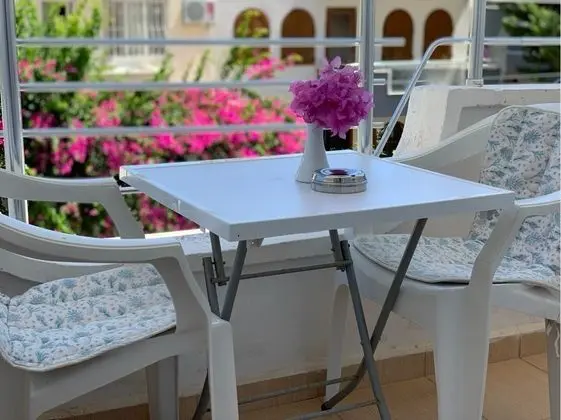 Safi Hotel - Genel