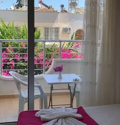 Safi Hotel - Genel