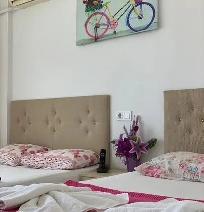 Safi Hotel - Genel
