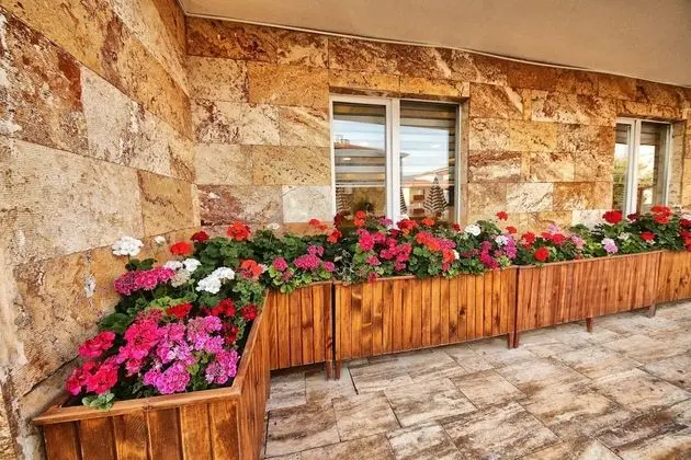 Safran Germia Palas - Dış Mekan