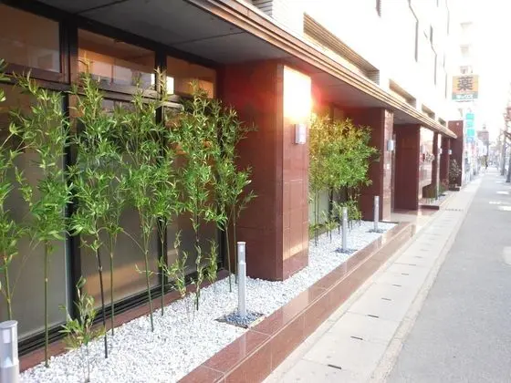 Saga Grace Hotel - Dış Mekan