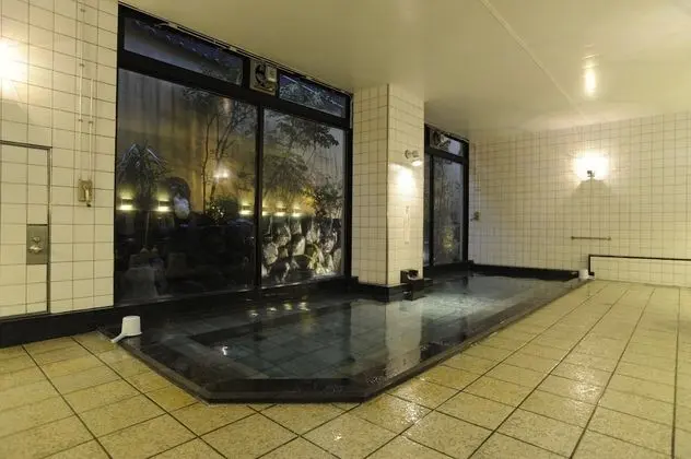 Saga Grace Hotel - Havuz