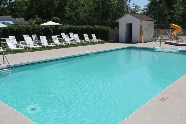 Saga Resort - Havuz