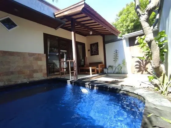 Villa Sahabat - Havuz