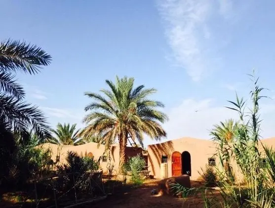 Sahara Source Vie