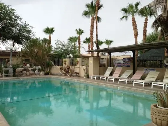 Sahara Resort & Spa - Havuz