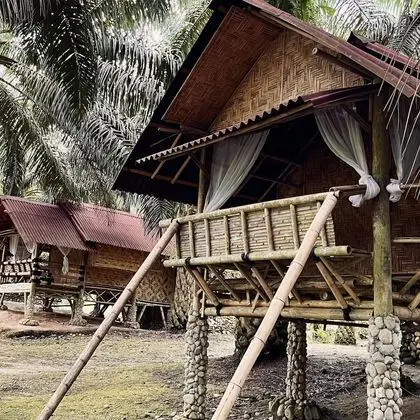 Sahom Valley Resort - Agro & Eco - Oda Düzeni