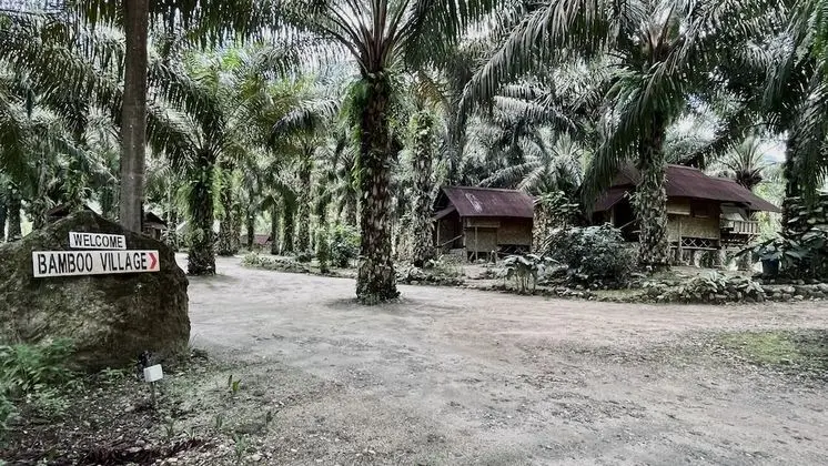 Sahom Valley Resort - Agro & Eco - Oda Manzaraları