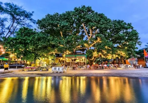 Sairee Hut Resort Koh Tao - Dış Mekan