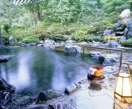 Saito Hotel - Havuz