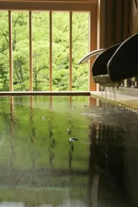 Saito Hotel - Spa