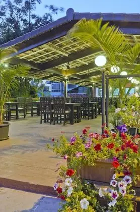 Saj Resort