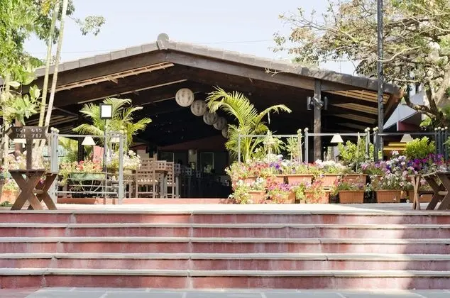 Saj Resort