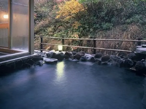 Sake Hotel Tamakiya