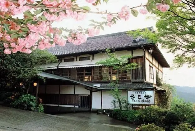 Sakoya -Yoshino-