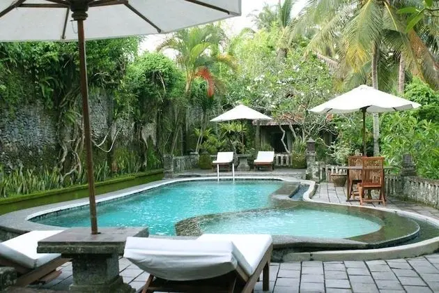 Villa Sakti Ubud - Taman Sakti Resort - Havuz