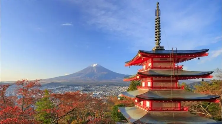 Sakura Fuji
