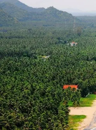 SalaCoco