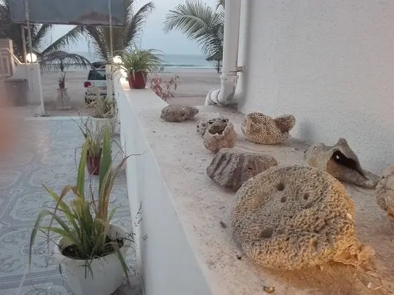 Salalah Beach Resort - Villas - Dış Mekan