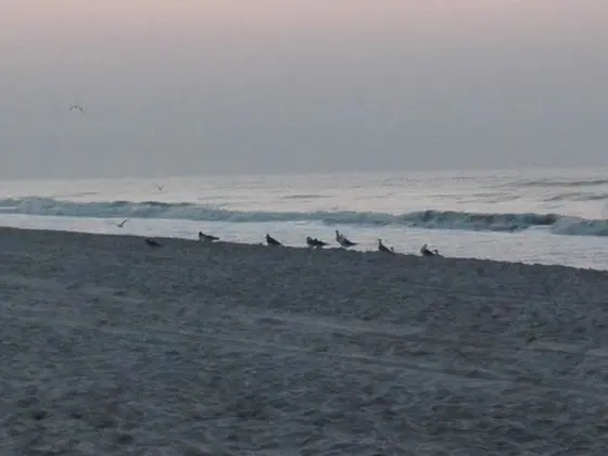 Salalah Beach Resort - Villas - Plaj