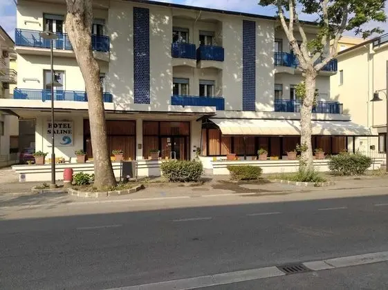 Hotel Saline