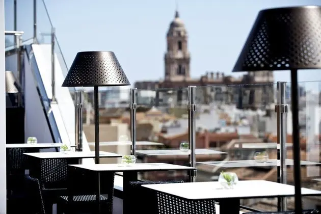 Salles Hotel Malaga Centro - Havuz