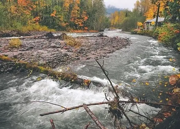 Salmonberry Retreat - Dış Mekan