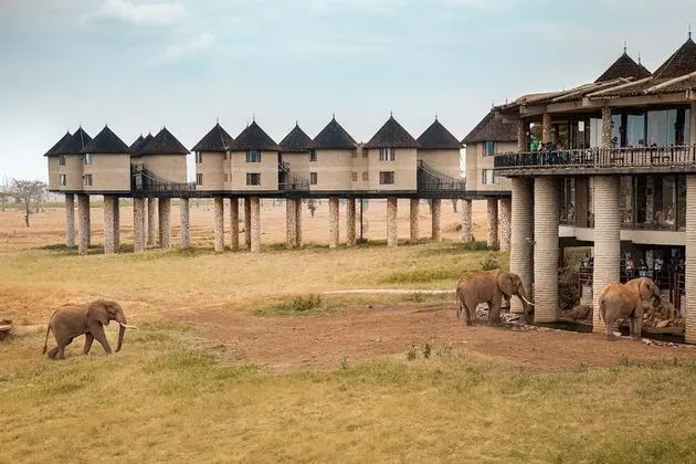 Salt Lick Safari Lodge - Dış Mekan